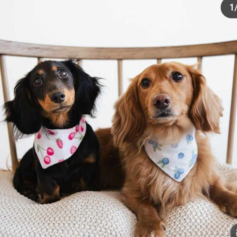 Antique Heart Pet Portrait Earrings (Two Pets)