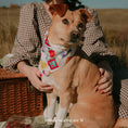 Load image into Gallery viewer, Frida Bandana