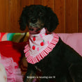 Load image into Gallery viewer, Kingsley Bandana