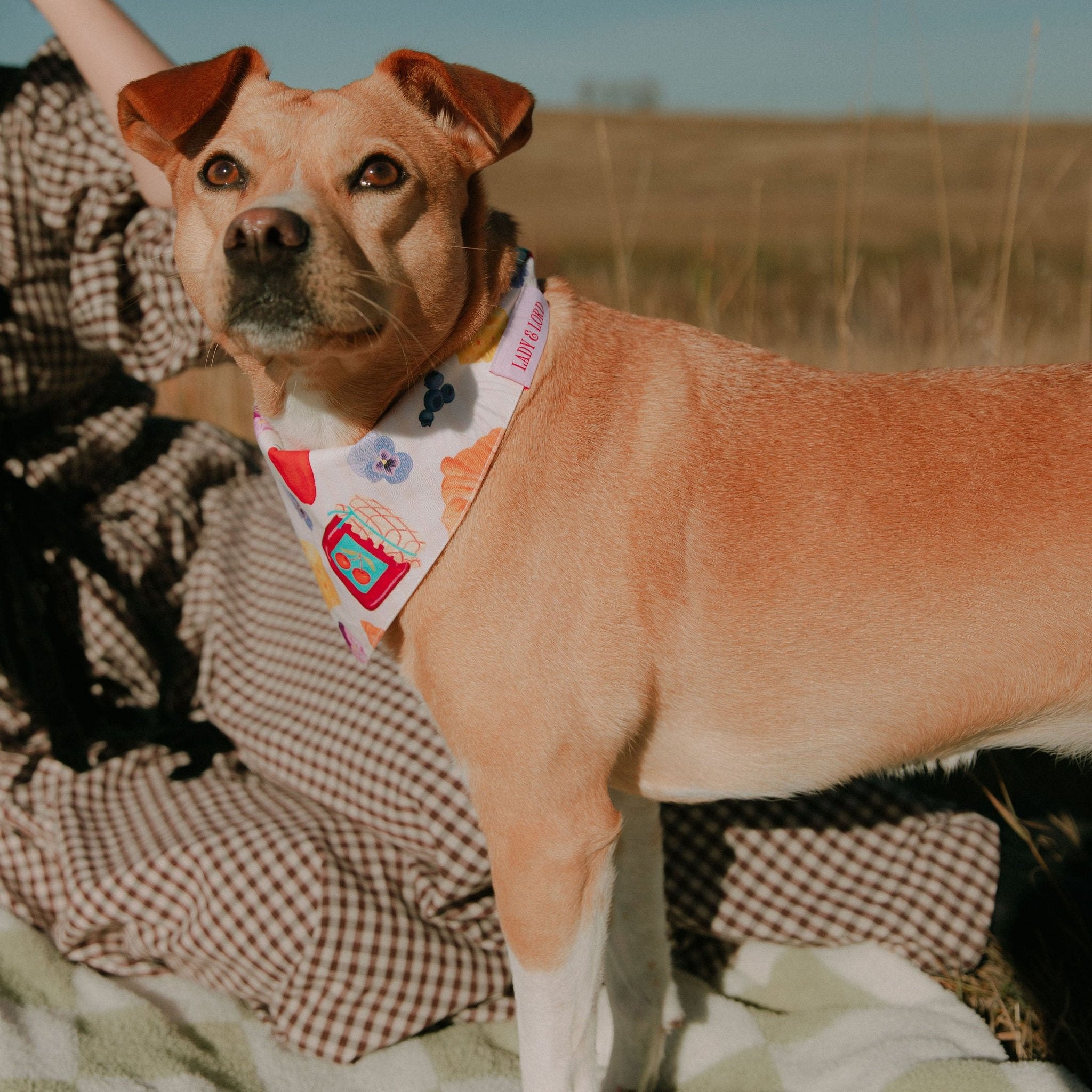 Frida Bandana