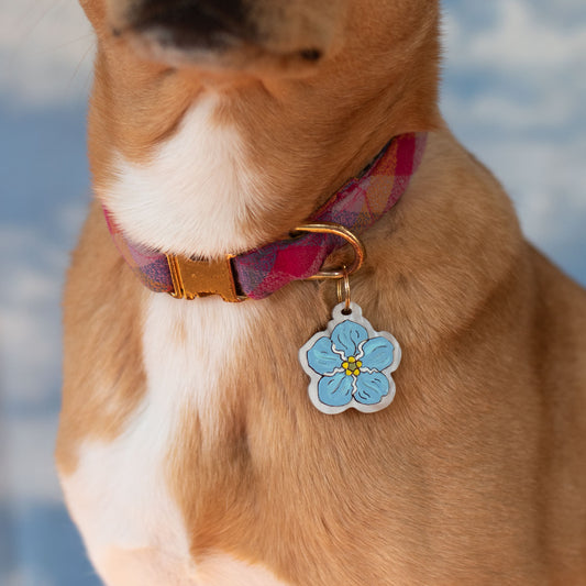 Forget-me-not Pet Tag