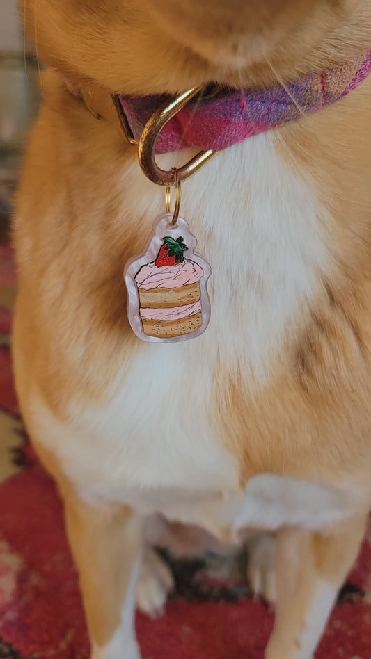 Strawberry Shortcake Pet Tag